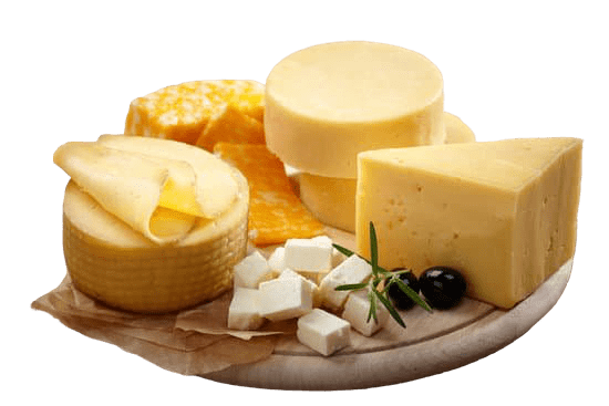Diferentes tipos de quesos de Chile Quesos